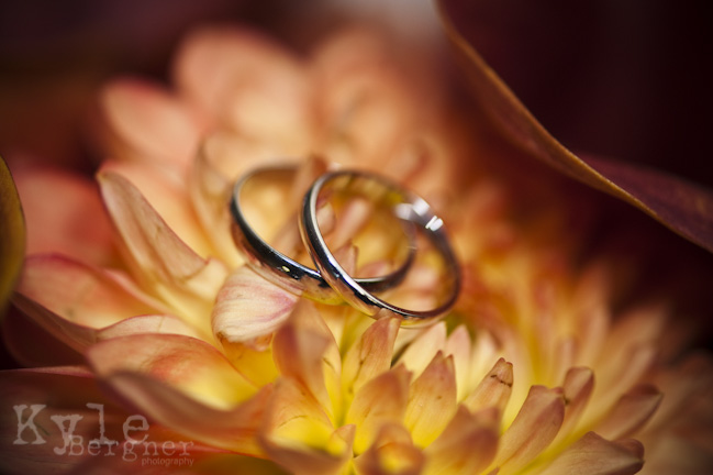 you have awesome rings photographs Here are a few of my favorites
