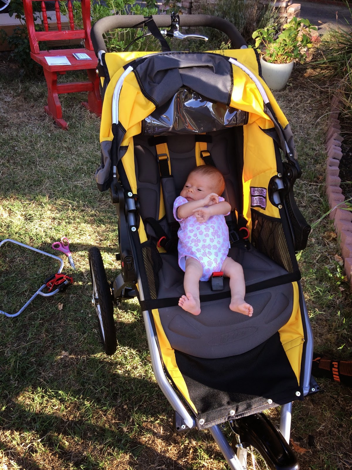 Evra's adventures Trying out the BOB stroller... (10.7.14)