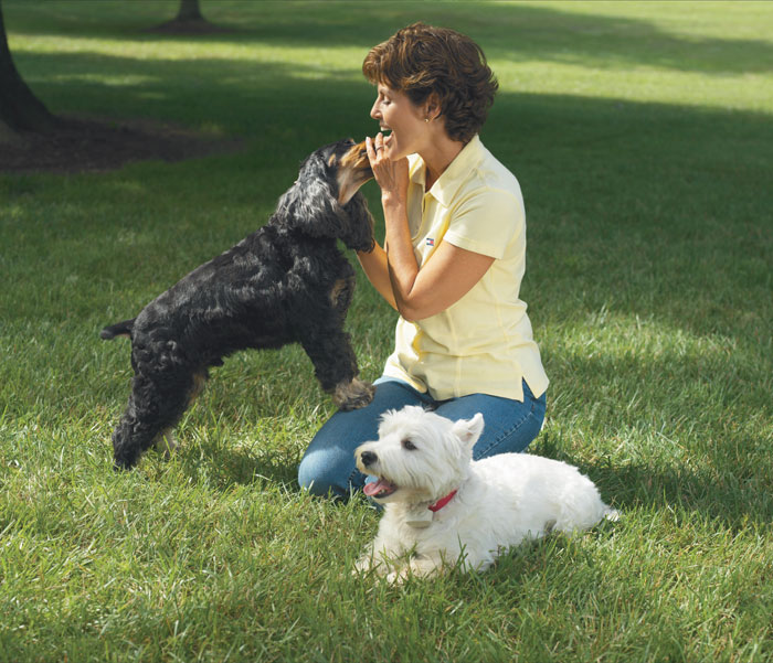 People Make Mistake Of Treating Dogs Like People People Make Mistake Of Treating Dogs Like People