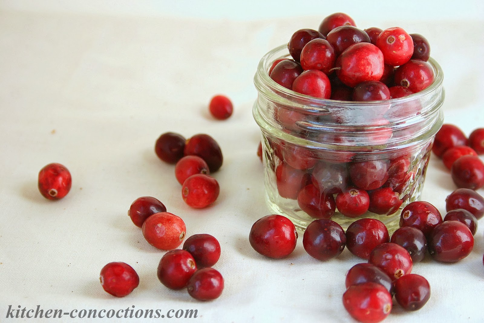 In Season Cranberries Kitchen Concoctions