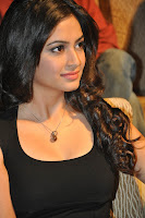 Kriti, Kharbanda, at, Ongole, Githa, , audio, launch