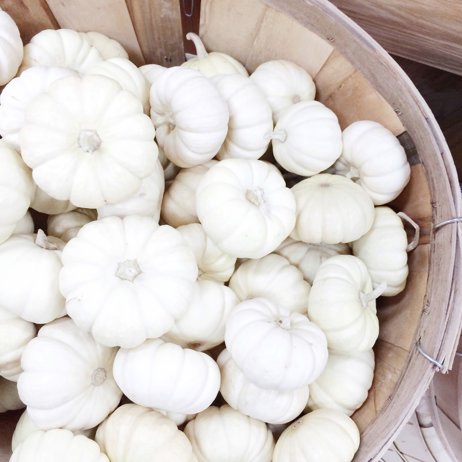 white-pumpkins