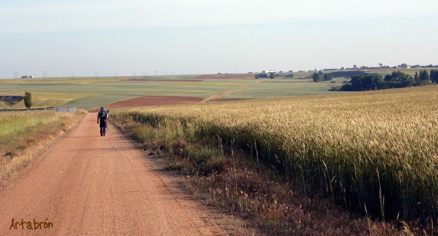 Panorámica de los llanos de El Nogal