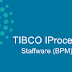 TIBCO IProcess Training Videos