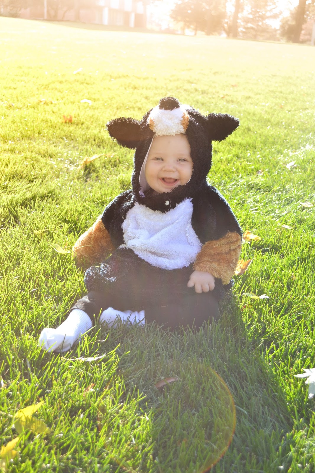 Little and Lovely Cutest Halloween Costume I Ever Did See