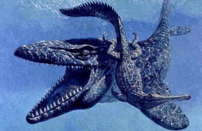 Liopleurodon