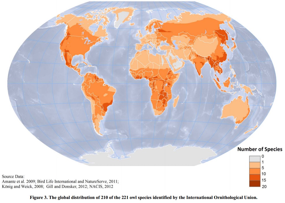 Species New to Science [Ornithology • 2012] Geodatabase of Global Owl