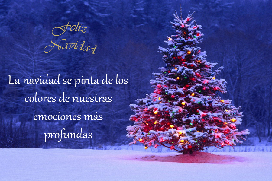 Resultado de imagen de hermoso tren de navidad feliz navidad