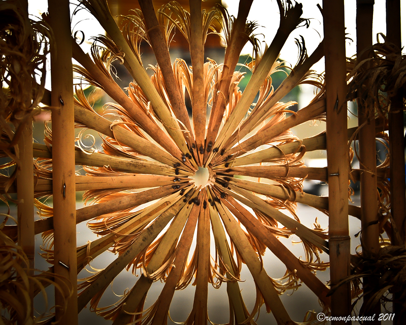 Kuwentong Fabulous WALITOGRAFIA'S FIRST SINGKABAN PHOTOGRAPHY