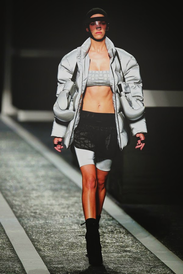 Alexander Wang para H&M