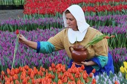 Keukenhof