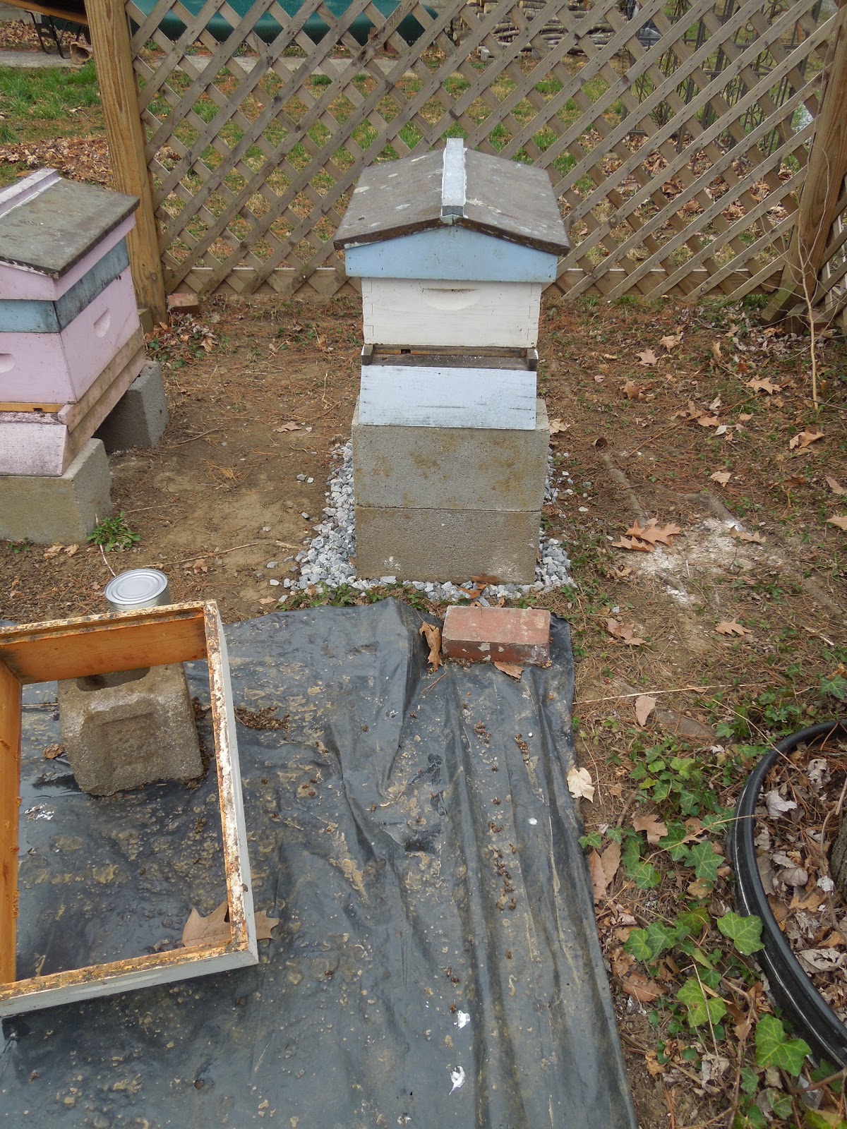 Bee Venture 2013 2017 Return To Open The Hive The Queen Is