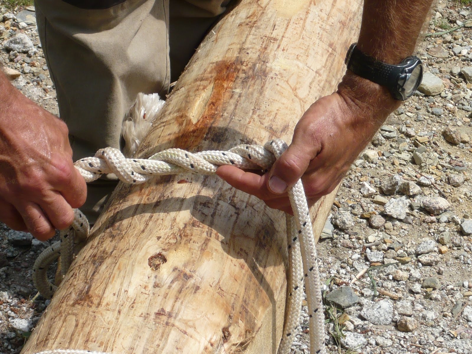 portugal permaculture timber hitch