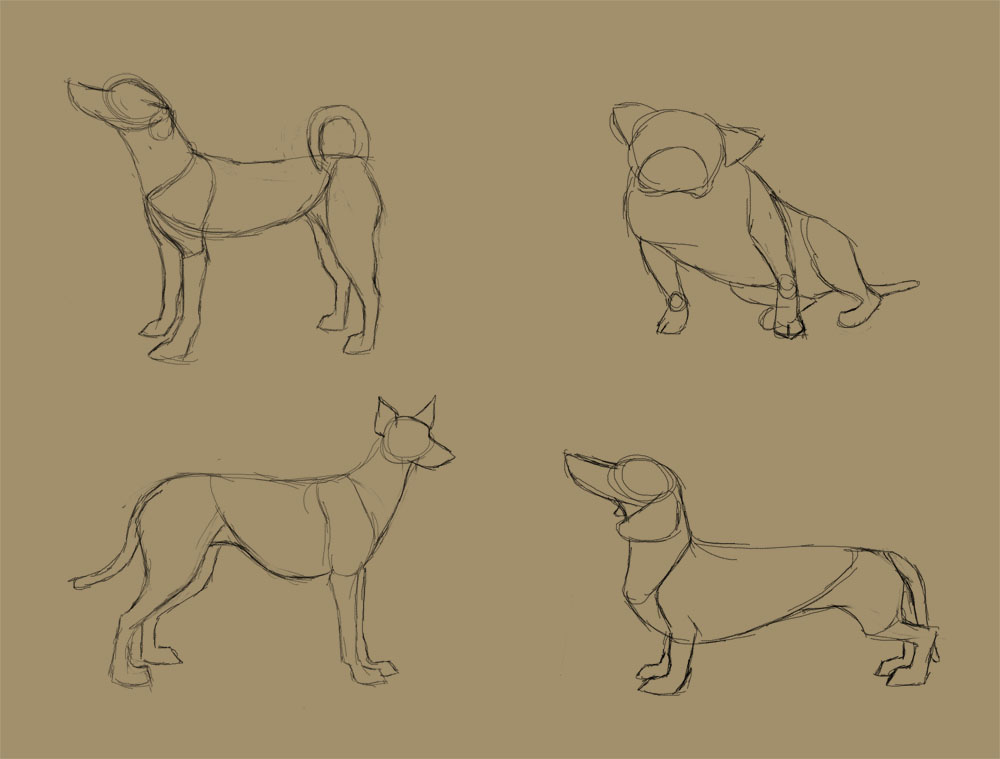 Savanna Williams How to Draw Dogs Faces and Bodies