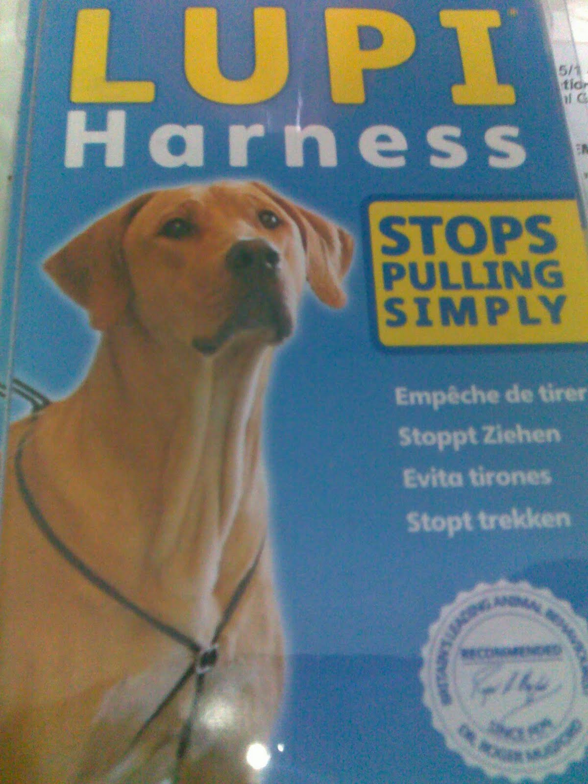 Letti's Life A review of the Lupi harness