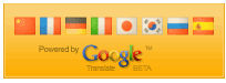 Google Flag Translate Widget For Blogger Blogspot 11