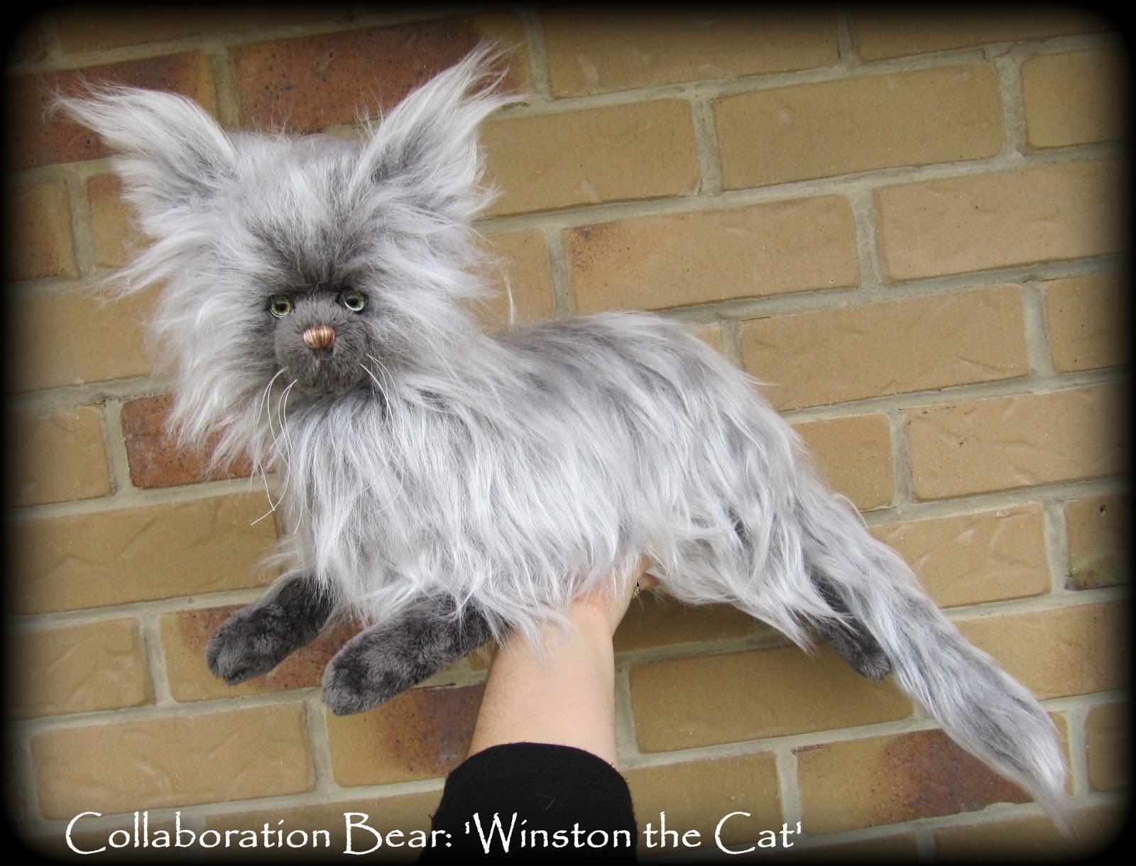 Most Unique Looking Cat Breeds Most Unique Looking Cat Breeds