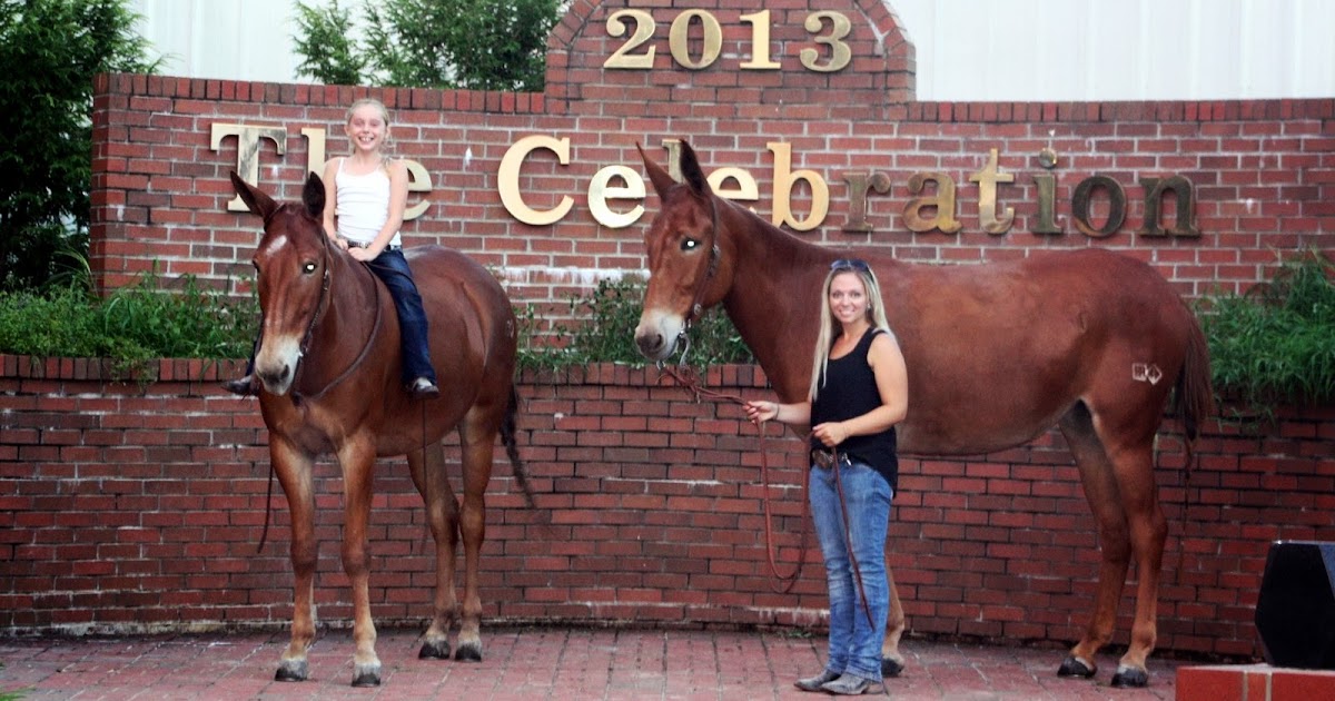 PairADice Mules Shelbyville TN