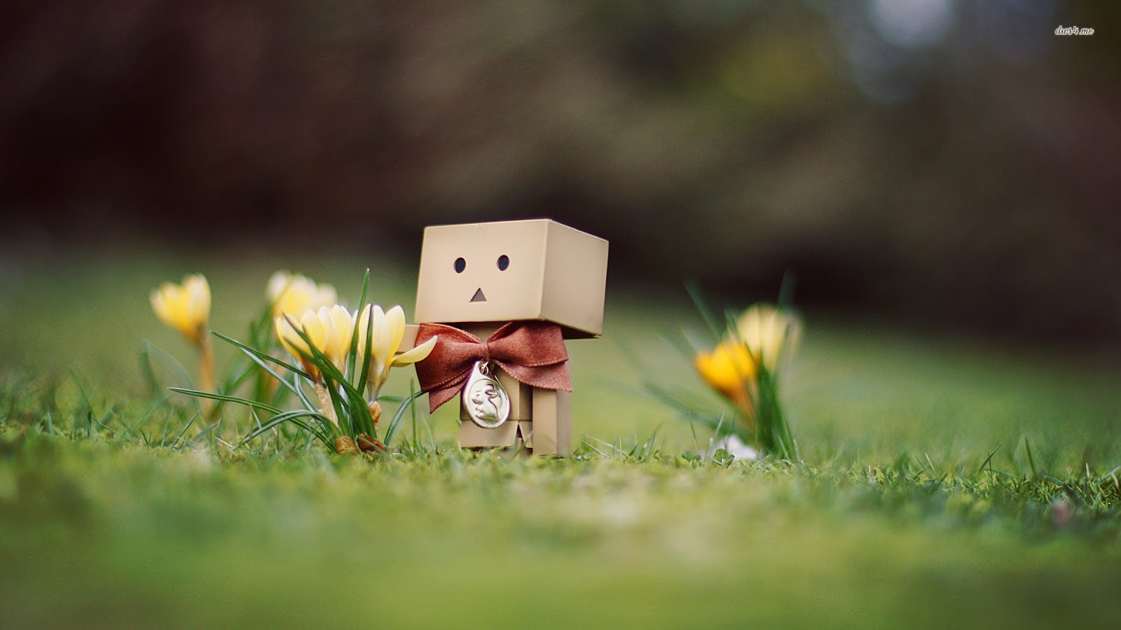 http://4.bp.blogspot.com/-7j8qzkPL38c/UJVEeN0vgMI/AAAAAAAAPc0/kSSq_ICJWlc/s1600/3679-boxman-1920x1080-artistic-wallpaper.jpg