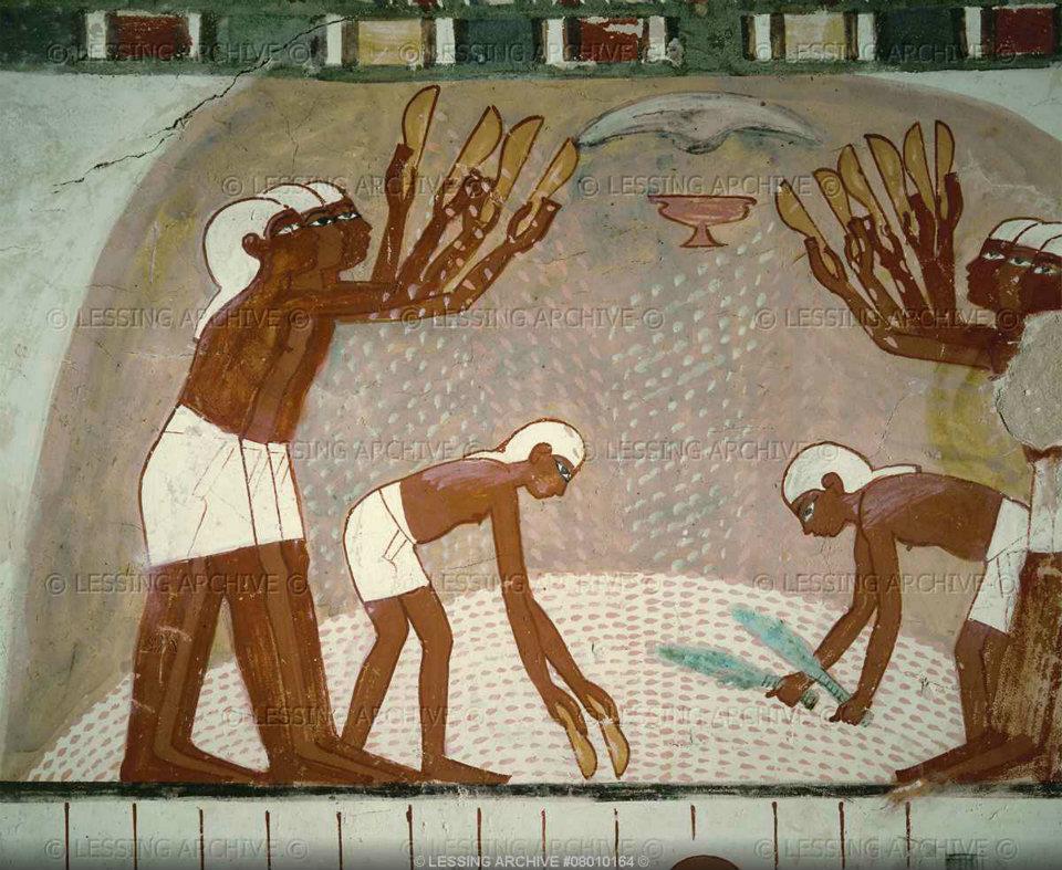 Egypt Nile Agriculture &irrigation system