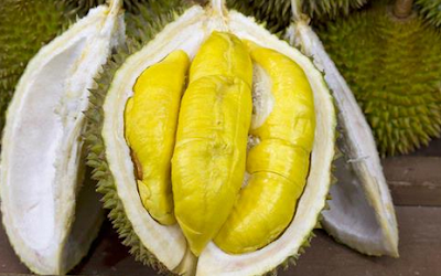 Manfaat Buah Durian Untuk Kesehatan Tubuh Dan Kecantikan