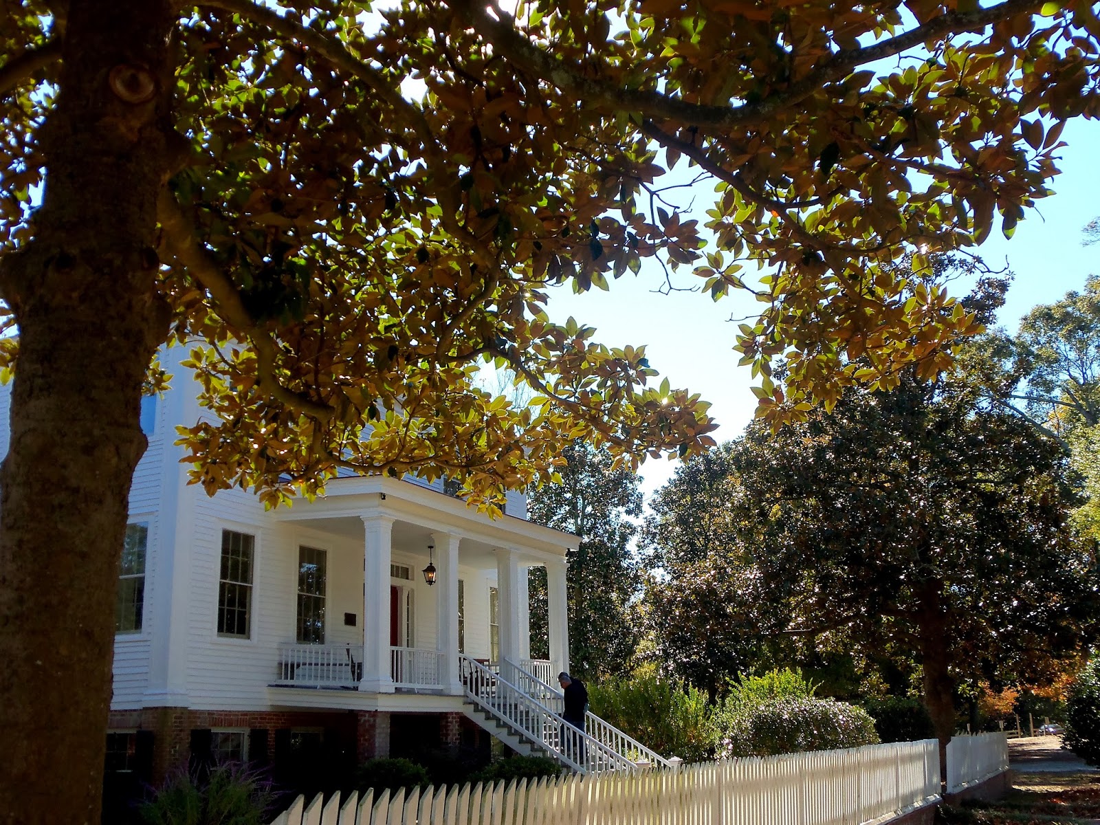 Kiki Nakita Poplar Grove Plantation