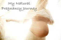 My Pregnancy Blog
