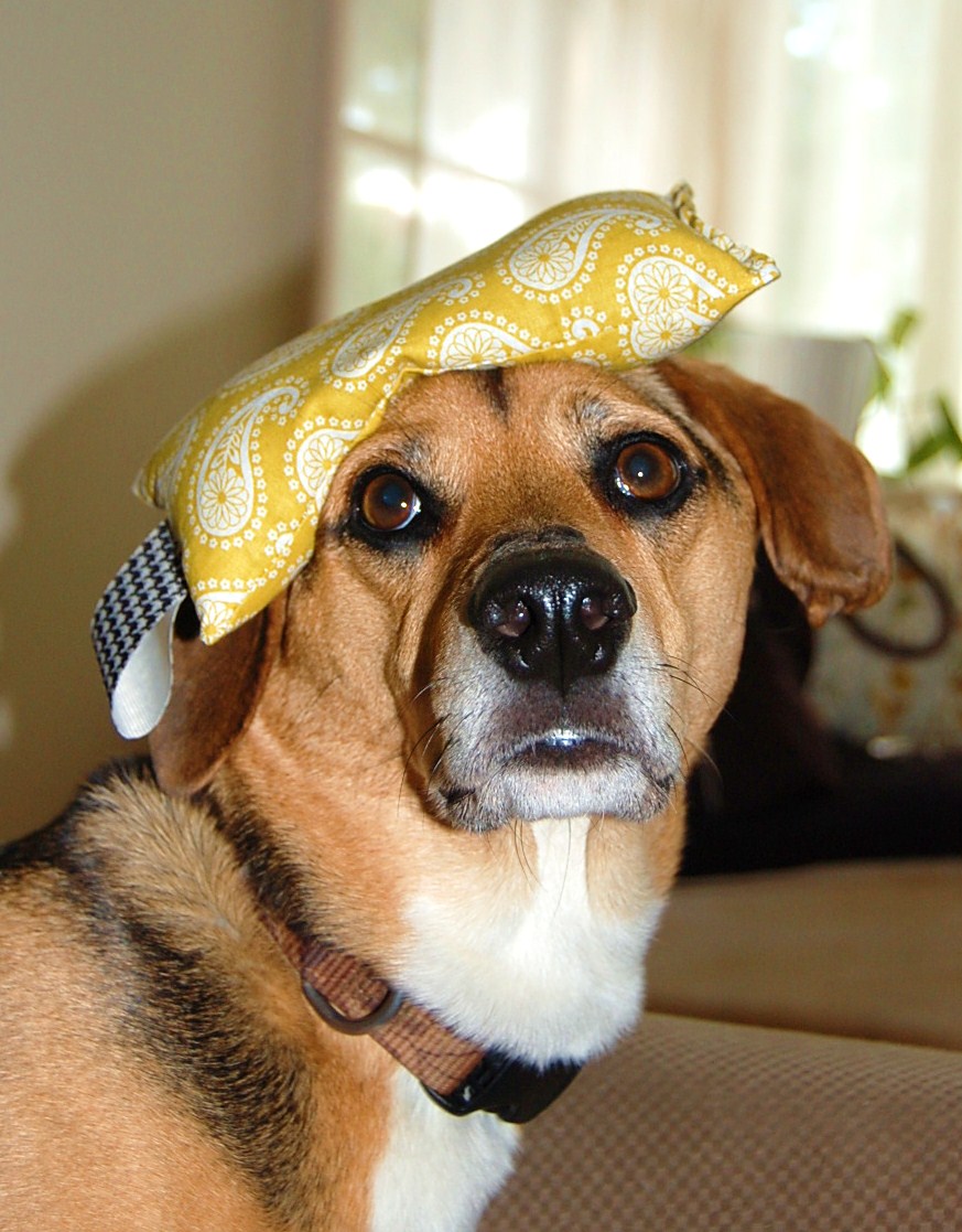 Mommy Monologue DIY Wednesdayrice filled eye pillow aka hot/cold pack