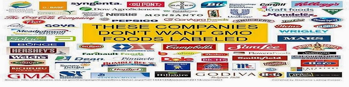 GMO Companies