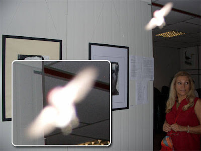 Real Ghost Photo: Bird Of Light