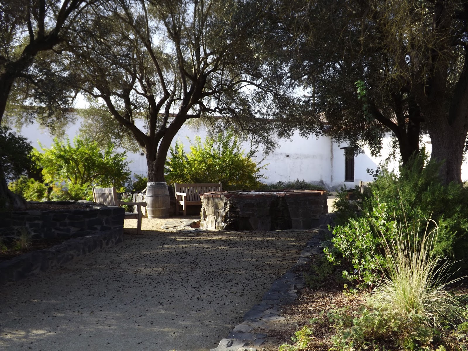 The Centauride Mission San Francisco Solano Birthplace Of California