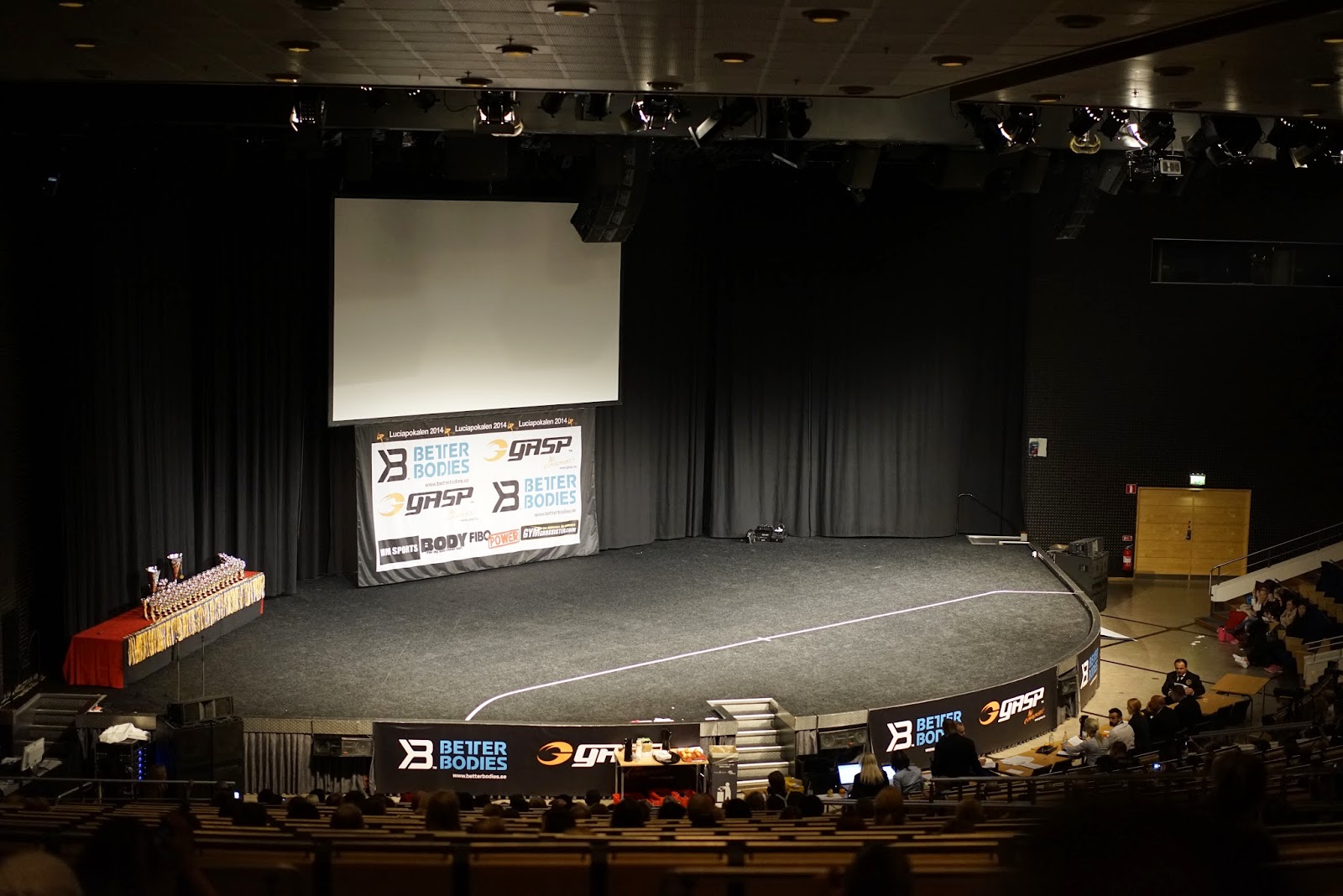 Richard Bjerkoe - Robust Dad - Fitnessfestivalen 2014 - Stage