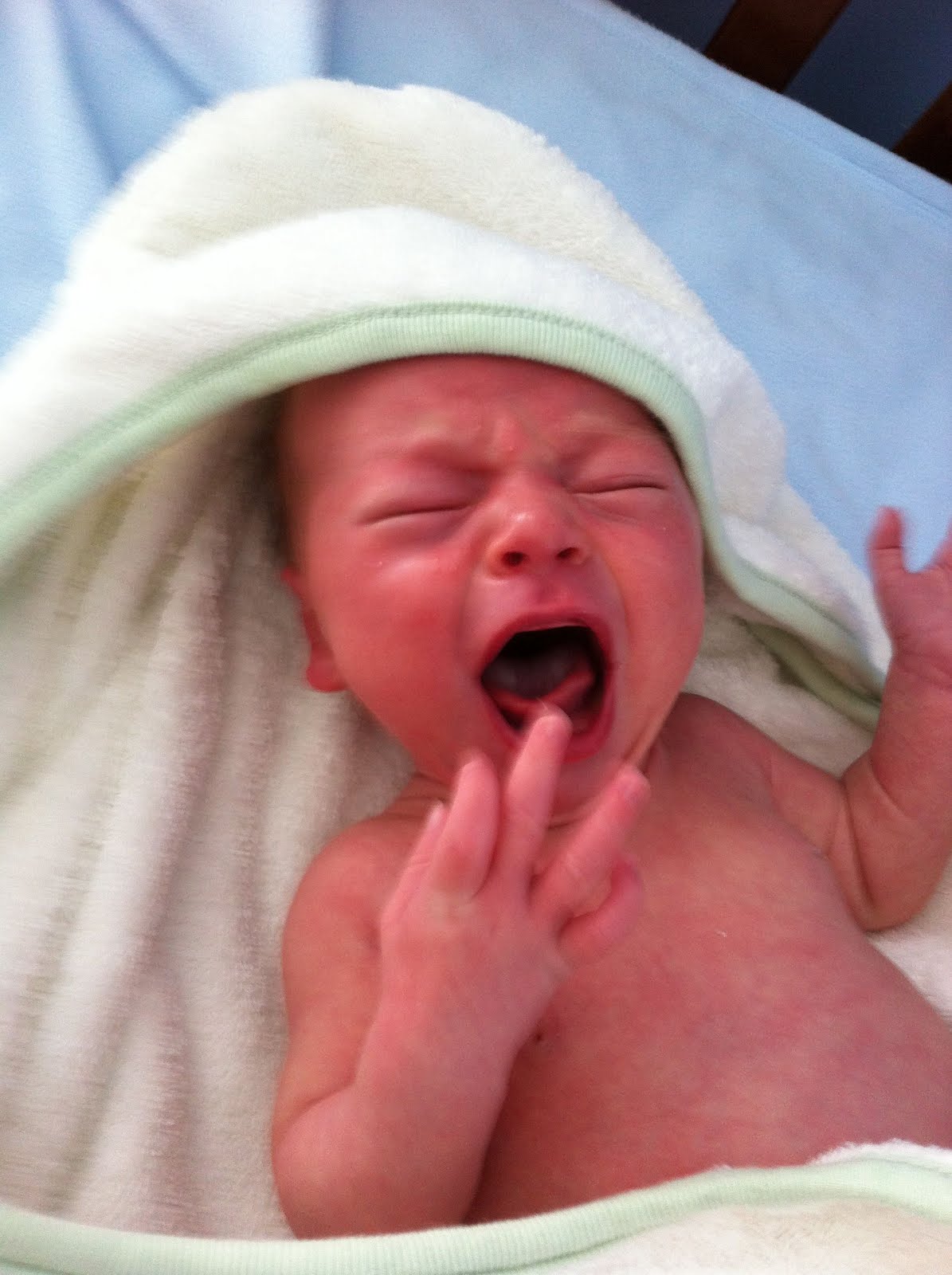 Ocean State Transplant: Ugly Baby - 1195x1600 - jpeg Ugly Baby Faces