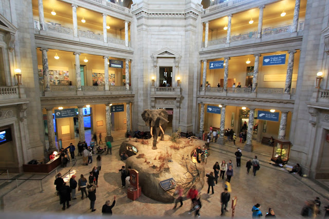 Inside the main entrance of National History Museum in Washington DC, USA Inside the main entrance of National History Museum in Washington DC, USA
