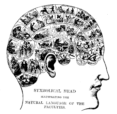 Mappa frenologica del XIX secolo. La frenologia fu definita una pseudoscienza nel 1843 e continua anche oggi ad essere considerata tale. Mappa frenologica del XIX secolo. La frenologia fu definita una pseudoscienza nel 1843 e continua anche oggi ad essere considerata tale.