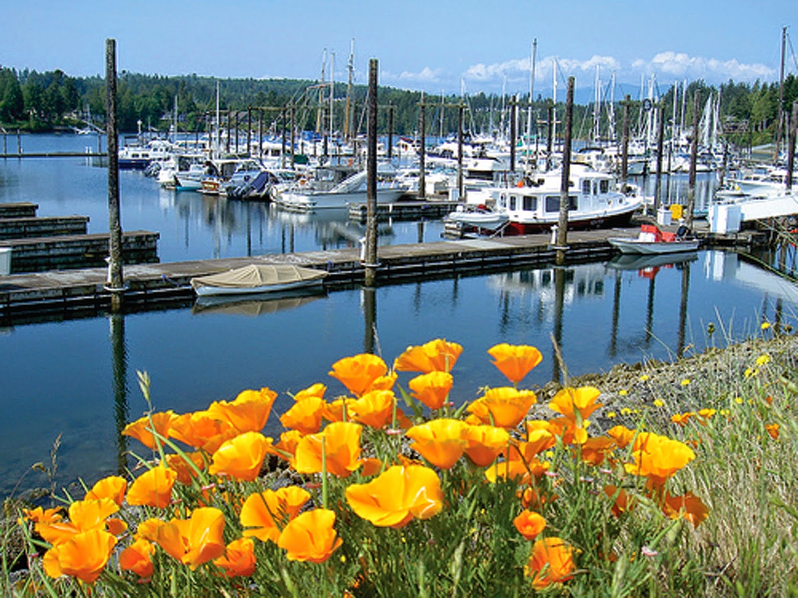 For Sale By Owner Boat Show Port Ludlow Resort