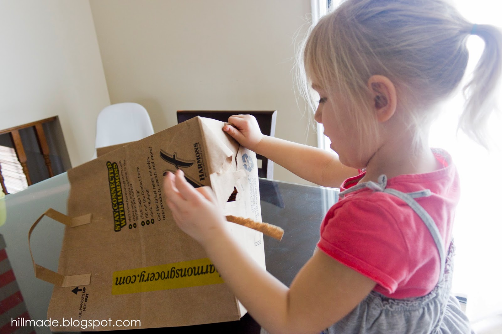 hillmade Kids Paper Bag Dresses and the Paper Bag Princess