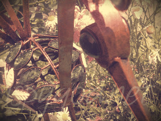 up close picture of metalsmith bird garden decoration