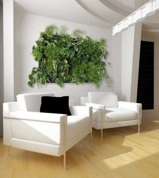 Decoración de interiores: Decora con Jardines verticales