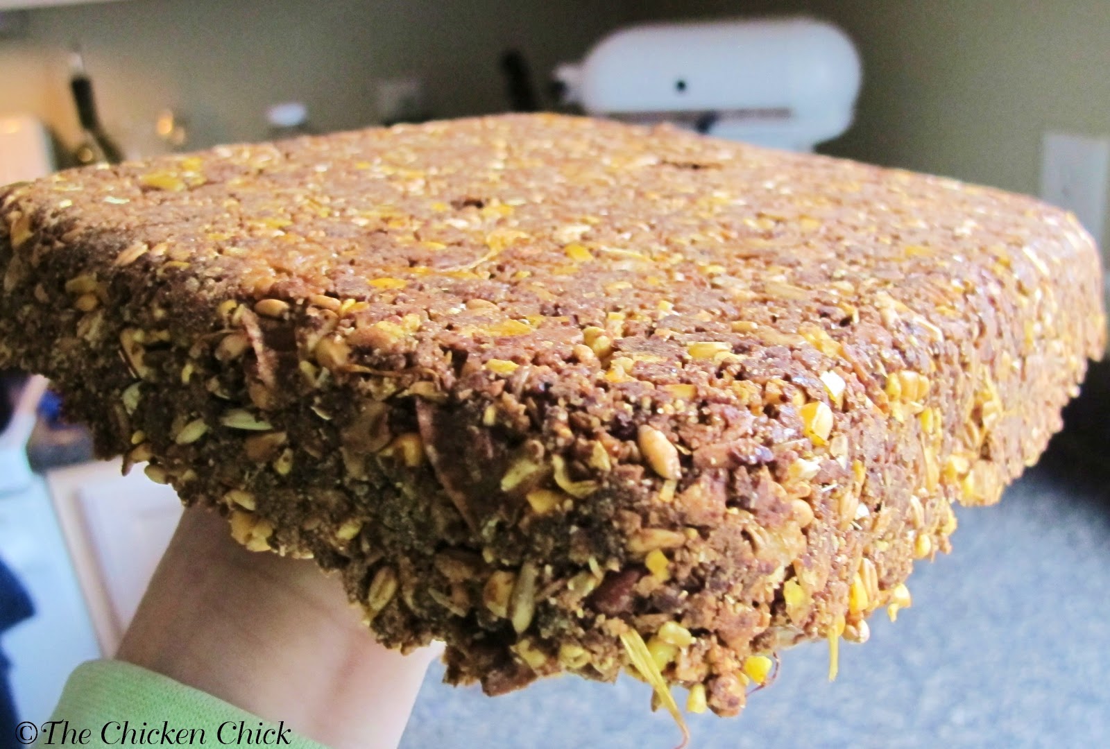 Flock Block Substitute Recipe. Healthy Boredom Buster for Chickens