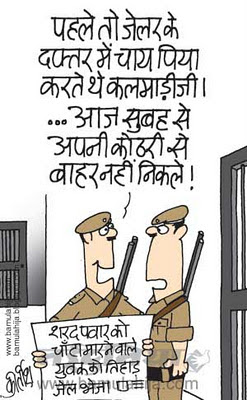 suresh kalmadi cartoon, sharad Pawar cartoon, a raja, corruption cartoon, tihaad jail cartoon