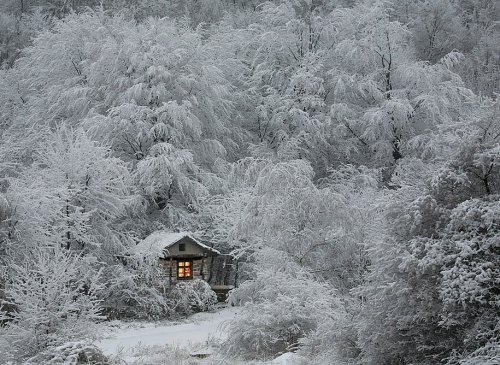 Фото красивой зимы (15 фото)