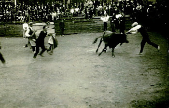 NOVILLADA EN LA FABRICA QUIRÓS (ASTURIAS)