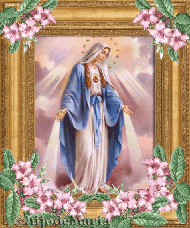 María medianera de TODAS las Gracias ¡Ruega por nosotros! Salud de los enfermos ¡Ruega por nosotros!
