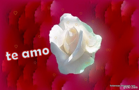Imagenes En Movimiento Nuevas | imagenes nuevas de amor con movimiento imagui Imagenes En Movimiento Nuevas | imagenes nuevas de amor con movimiento imagui
