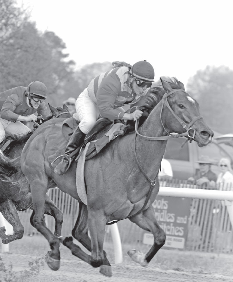 plantation pony rocking horse