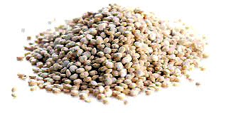 FOOD'S GOLD: Great Non-Animal Protein Sources