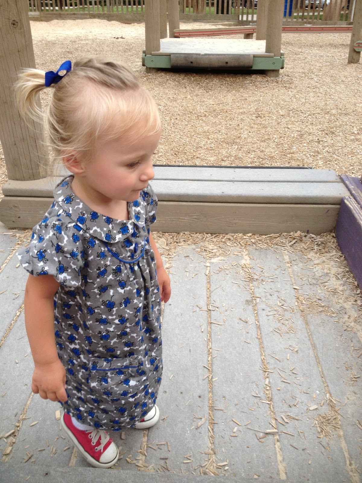 Life on the Learning Oak Farm Kelly Road Park