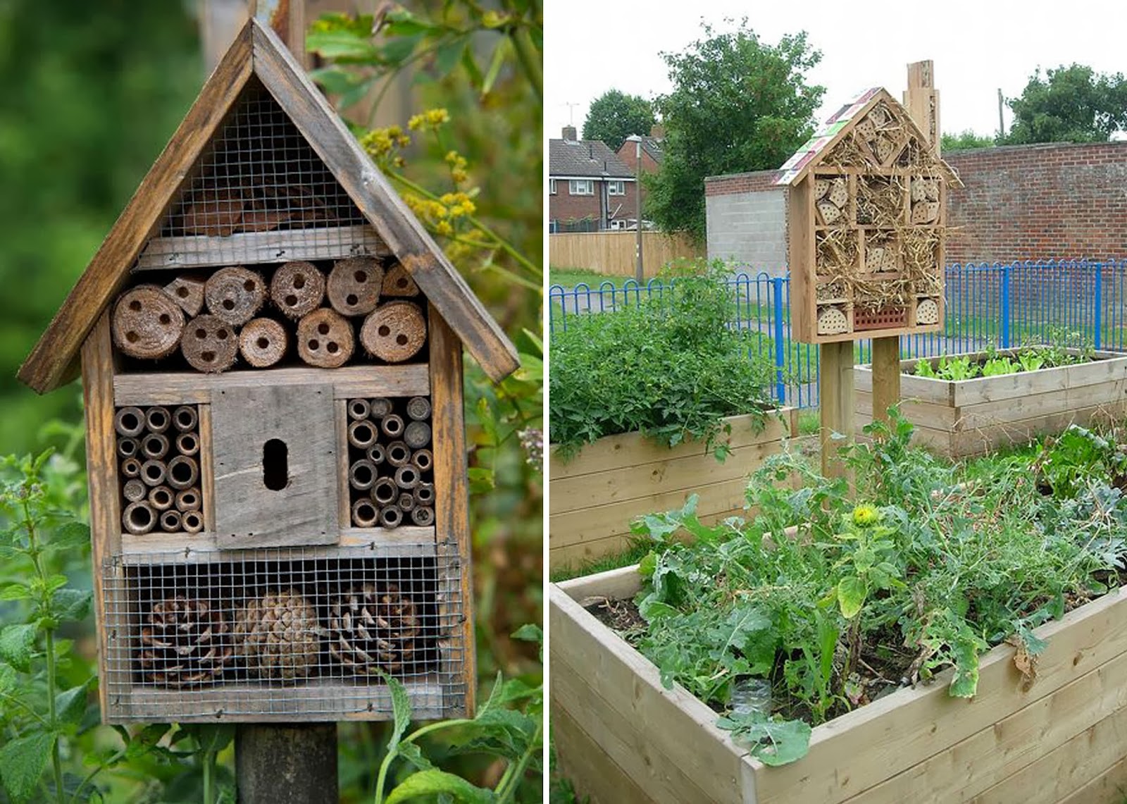 Hotel Per Insetti SES - Kit Costruzione Legno, Con Colla E Pennello - Foto 11
