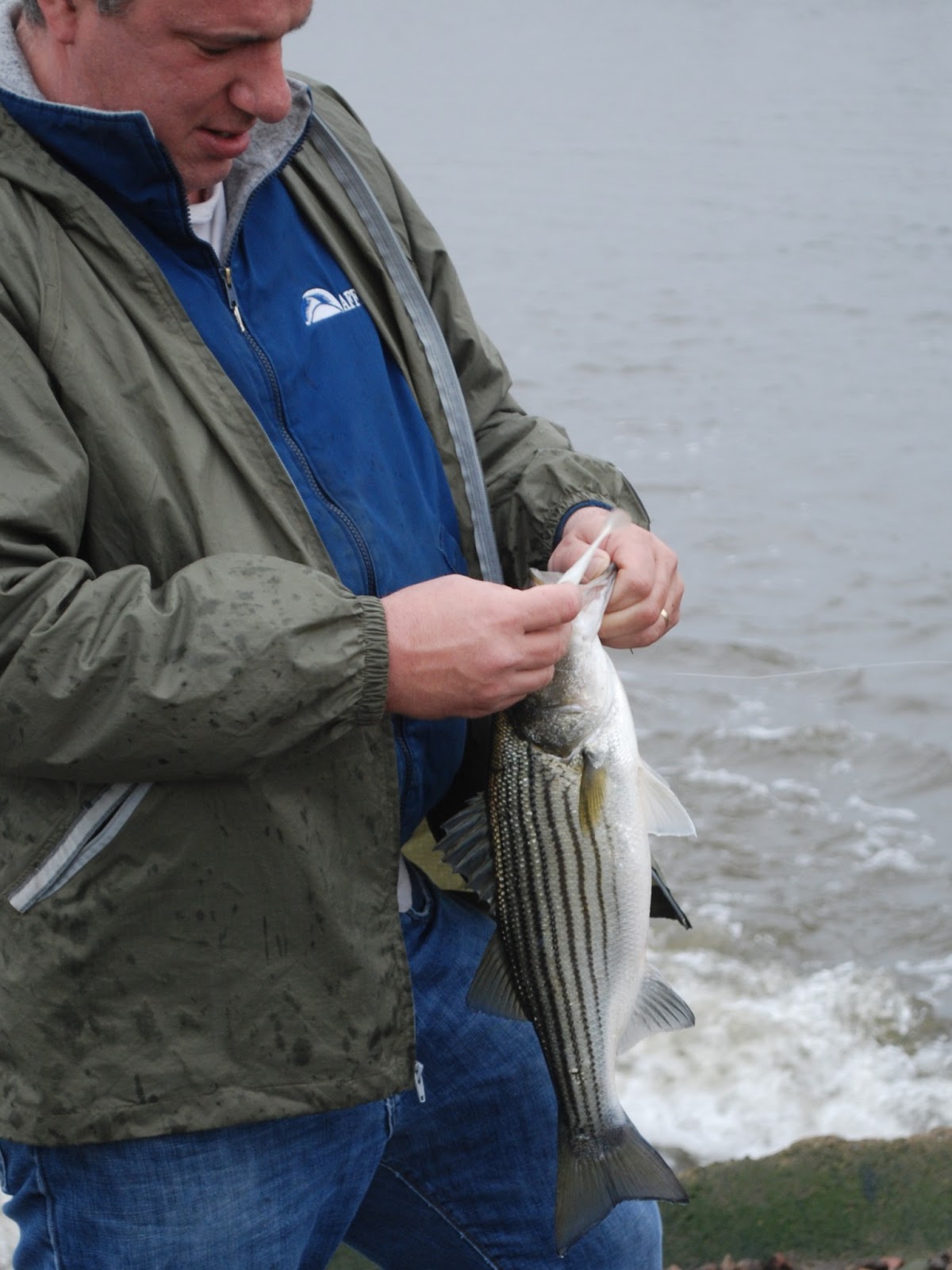 Litton's Fishing Lines Meadowlands Striped Bass Fish Early Season in